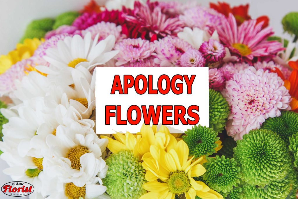 apology flowers Ogden