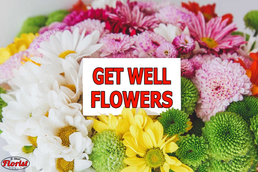 get-well-flowers Ogden