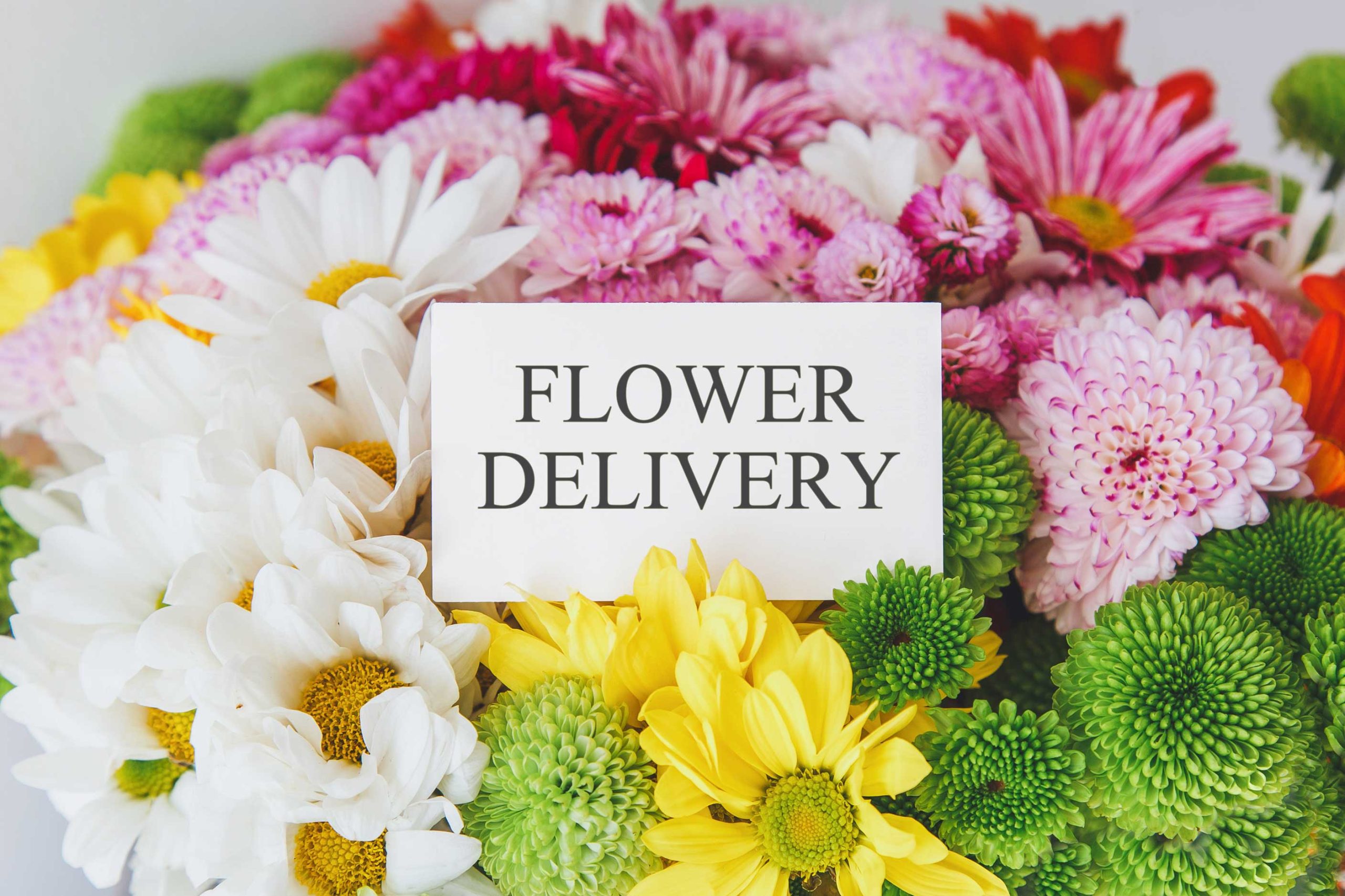 same-day-flower-delivery- Ogden